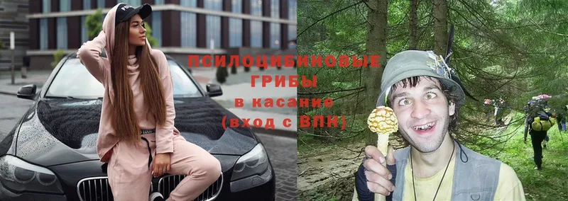 Псилоцибиновые грибы ЛСД  Клинцы 